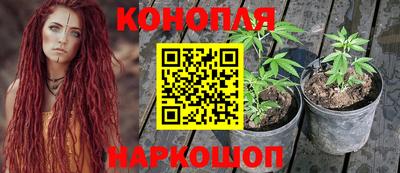 марки lsd Будённовск