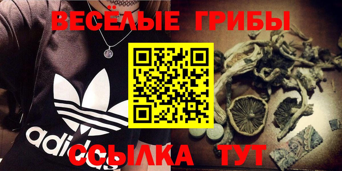 Псилоцибиновые грибы Psilocybine cubensis Торжок
