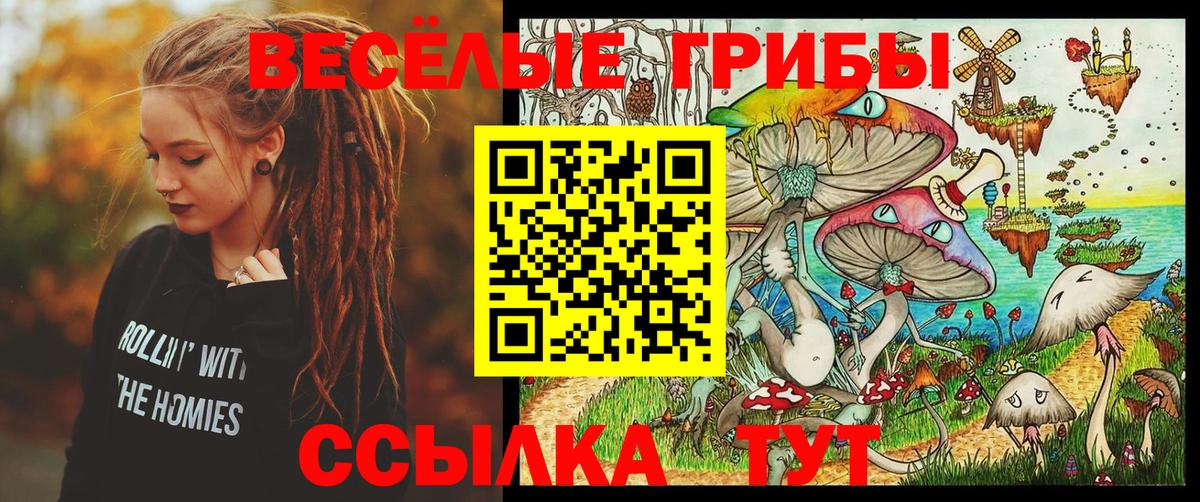 Псилоцибиновые грибы Psilocybe  Вход с VPN  Торжок 